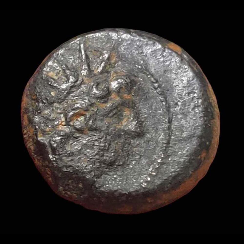Ancient Greece Cleopatra Thea Antiochos VIII Seleukid Kingdom Genuine Owl Coin - Picture 2 of 3